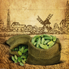 Alleppey Green Cardamom